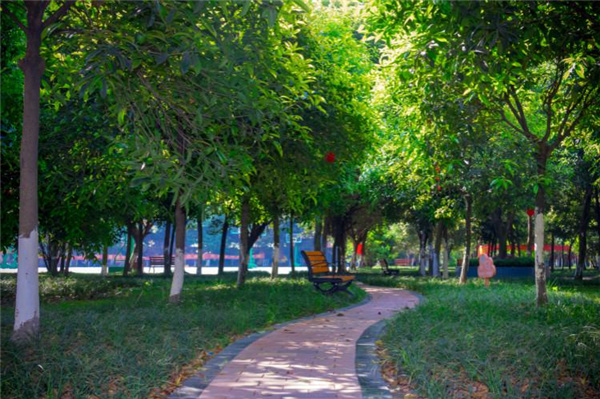 ʯ���f���A��X�WУ