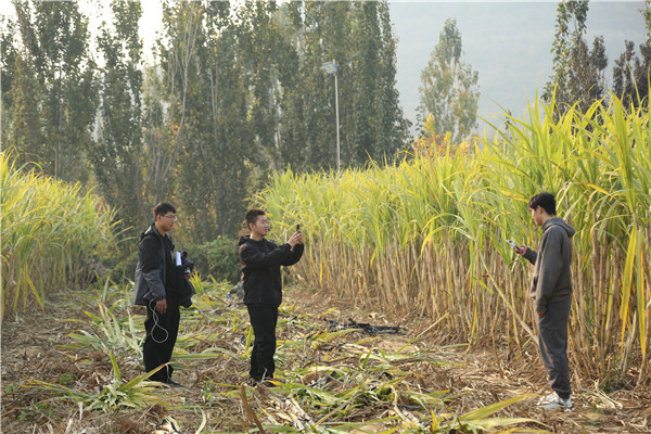 ʯ���f���A��X�WУ