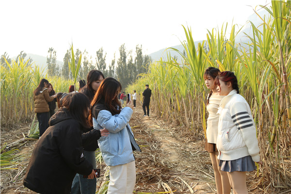 ʯ���f���A��X�WУ